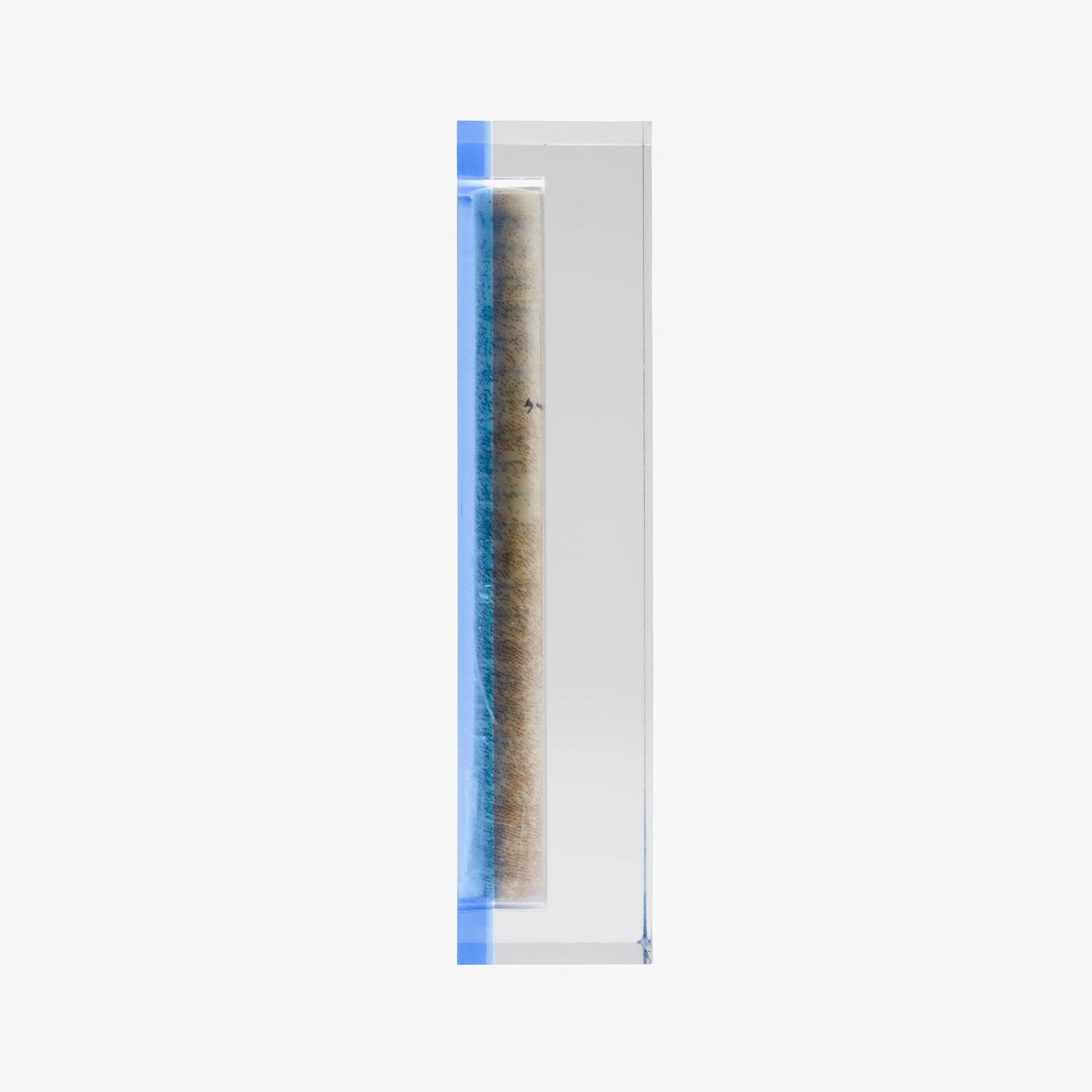 Acrylic Mezuzah | 4.5” - JEWISHJOY.co