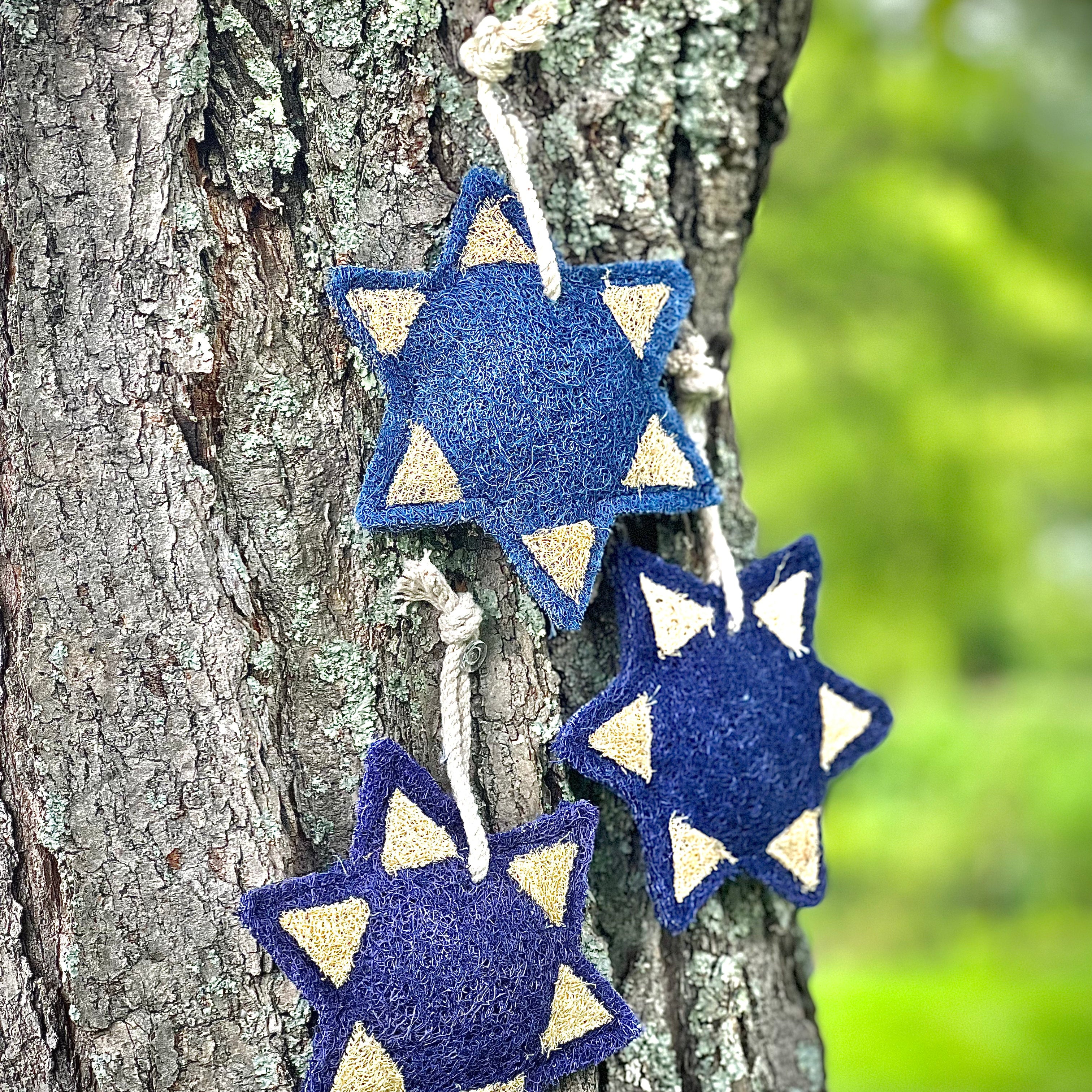 Loofah | Star Decoration