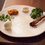 Passover Seder Plate | Red - JEWISHJOY.co