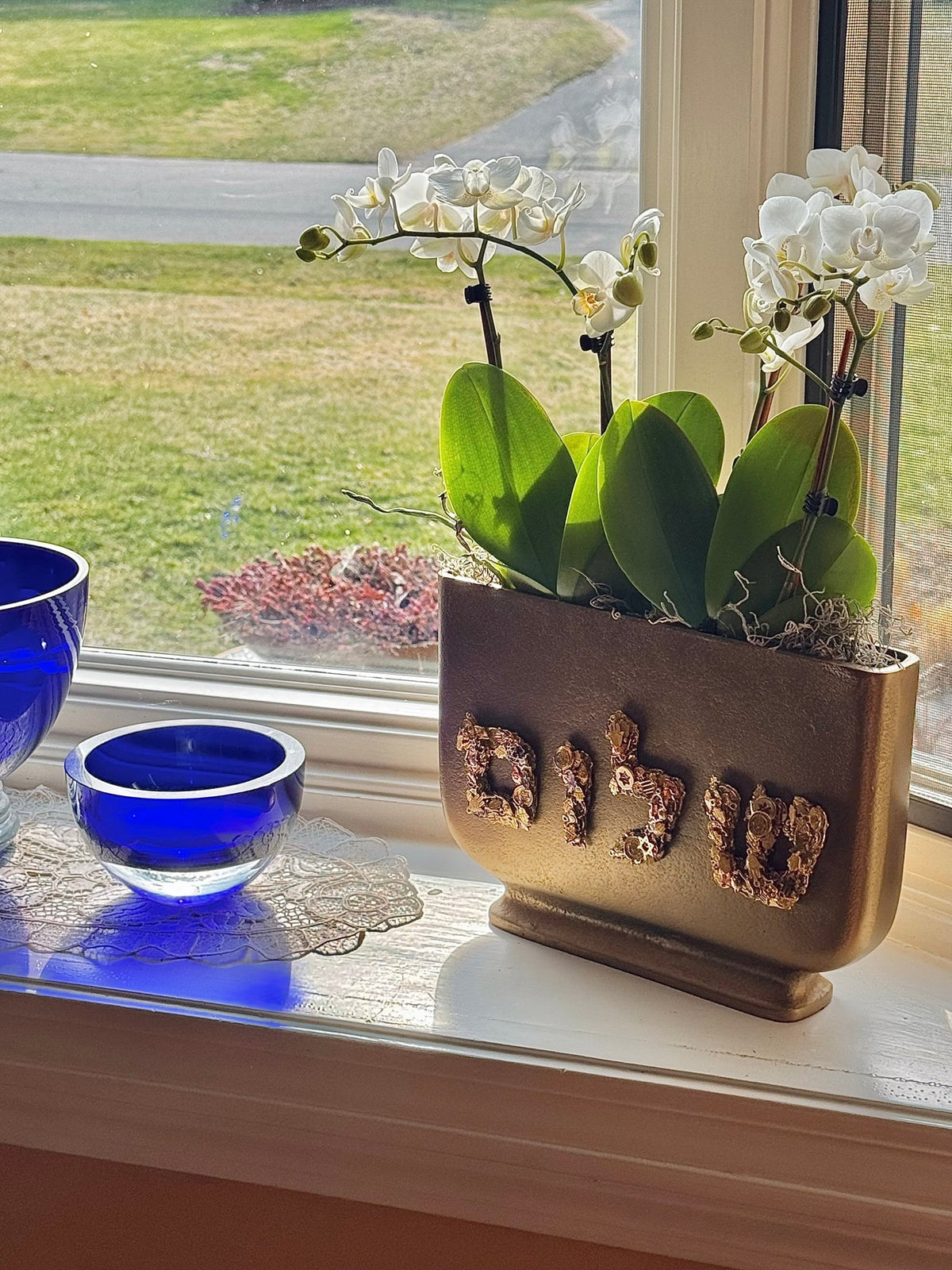Vase | Shalom - JEWISHJOY.co